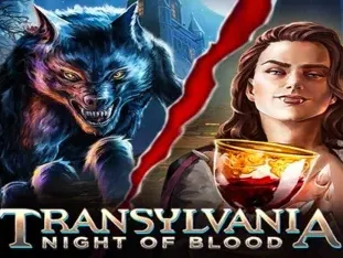 Transylvania_ Night Of Blood game icon